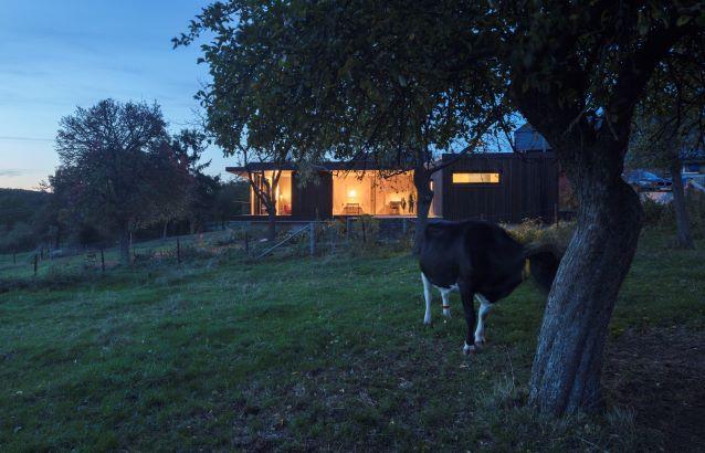 Außenansicht eines beleuchteten Hauses auf einer Wiese. Davor steht eine Kuh.
