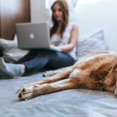 Frau sitzt mit Laptop auf dem Schoß auf dem Bett, neben ihr liegt ein Golden Retriever.