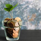 Aus einem Glas voller Münzen wächst eine kleine Pflanze.