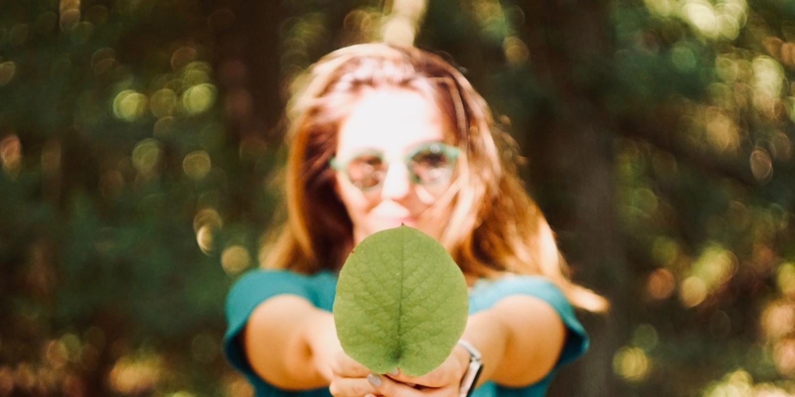 Nachhaltigkeit trainieren