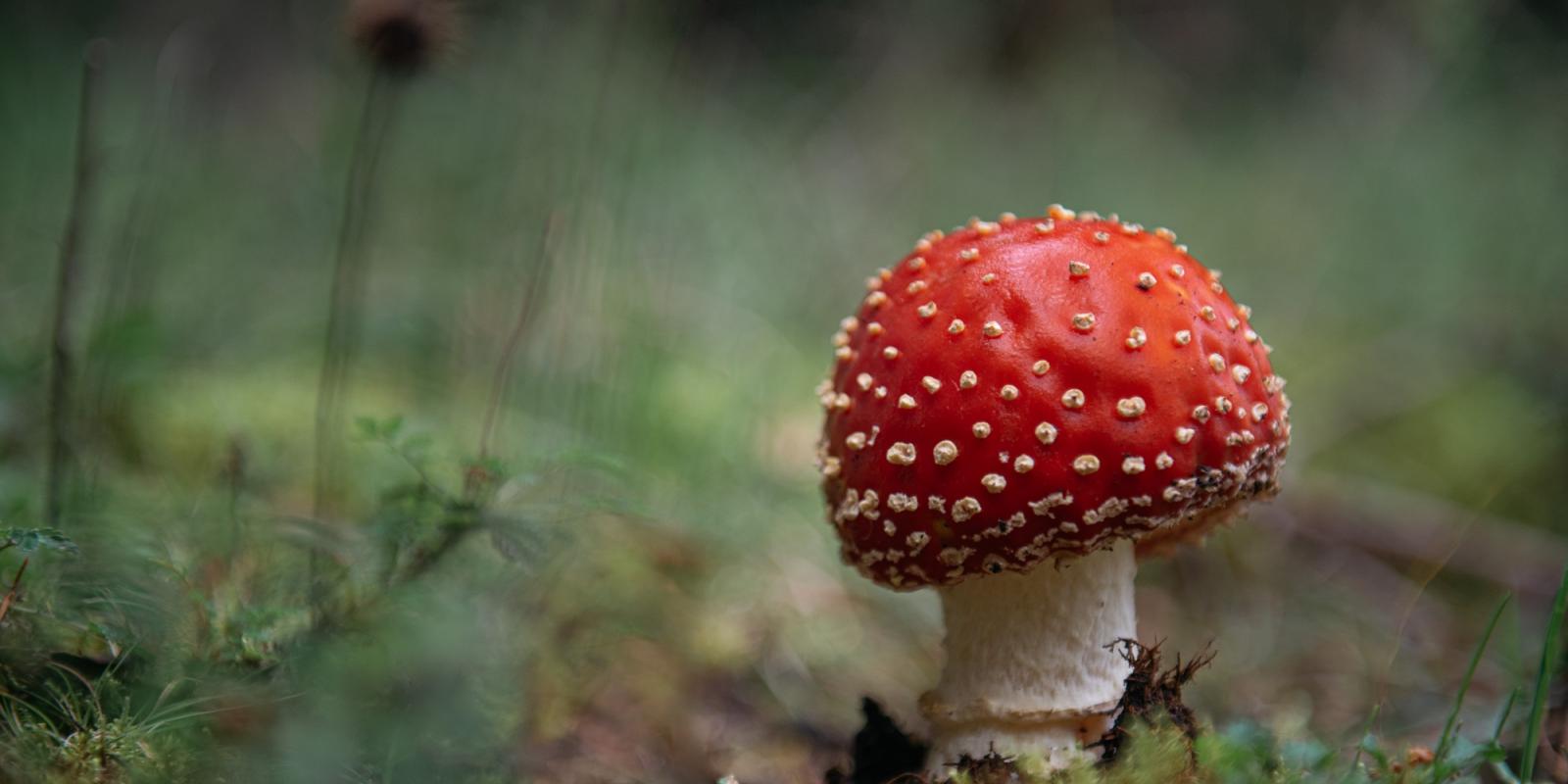 Was tun bei toxischen Menschen am Arbeitsplatz?